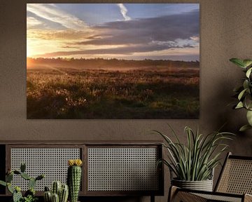 Heidelandschaft am frühen Morgen mit aufgehender Sonne von Shutterbalance