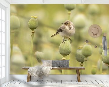 Young bird on a poppy bulb (poppy) by KB Design & Photography (Karen Brouwer)