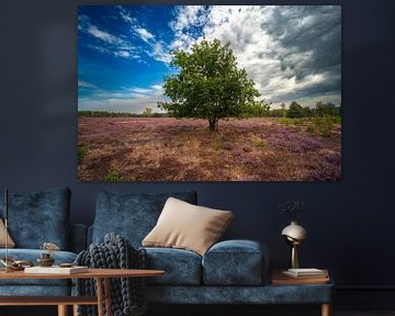 Baum in der blühenden Heidelandschaft von Holger Spieker