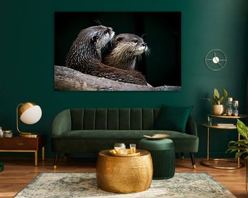 Two large otters rest together on a rock. by Grietje Fieten