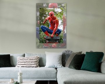 Ruhrgebied Spiderman van Franz Walter