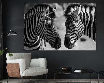 Zebra's Naibia von Peter Relyveld