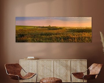 Panorama foto van natuurgebied Leyhorn van Henk Meijer Photography