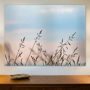 Des graminées en pastel délicat