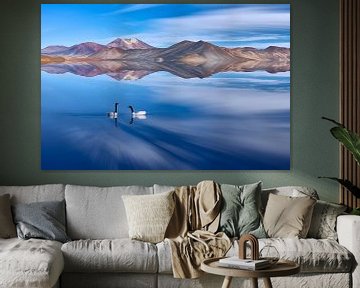 Paysage avec cygnes et volcans se reflétant dans un lac sur Chris Stenger