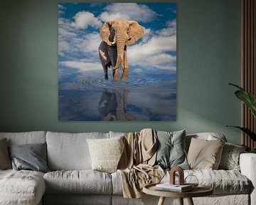 Portrait of an African elephant (Loxodonta africana) in close-up against a background of blue sky with clouds by Chris Stenger