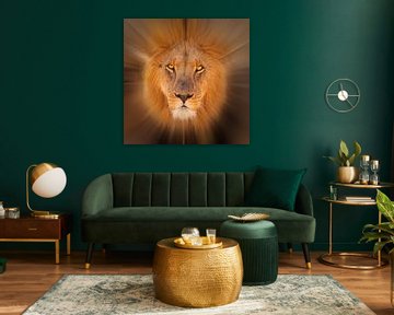 Gestileerd portret van een mannetjes leeuw (Panthera leo)