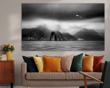 Fjord in southern Alaska with flying strawbird (Fulmarus glacialis) in black and white by Chris Stenger