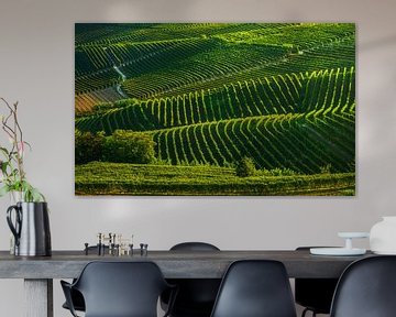 Langhe wijngaarden abstract. Piemonte, Italië van Stefano Orazzini