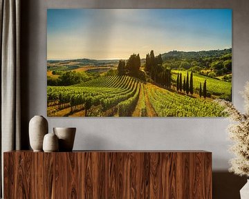 Vineyards and cypress trees in Maremma, Tuscany by Stefano Orazzini