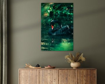 zwarte zwaan in water van Kaylee Verschure
