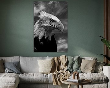 Portrait of a Bold Eagle by fotograafhollandslicht