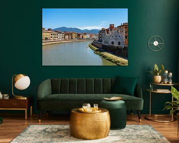 Blick auf die Altstadt von Pisa mit Santa Maria della Spina und dem Fluss Arno, Italien von Animaflora PicsStock