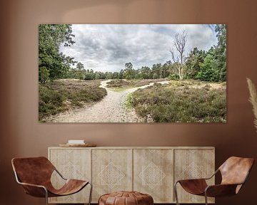 Heath and sandy path Lievensberg estate (panorama, SHQ) by Fotografie Jeronimo