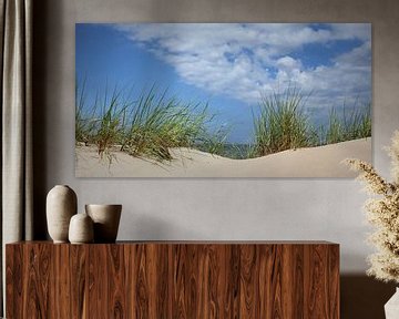 Panorama des dunes sur Ostsee Bilder