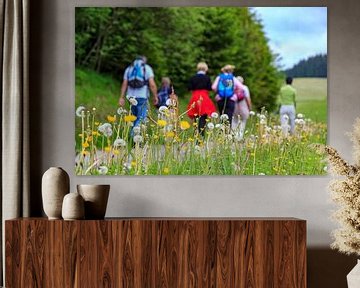 Westweg Hikers in the Black Forest by resuimages