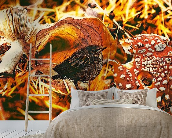 Aperçu de la chambre