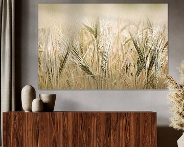 Wheat field by Martine Affre Eisenlohr