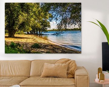 Strand Tongplaat - Dordtse Biesbosch van Lizanne van Spanje