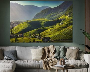 Vue des vignobles à Santa Maddalena, Bozen. Tyrol du Sud sur Stefano Orazzini
