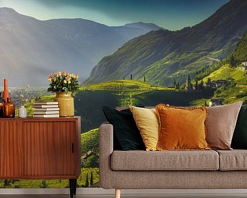 Vineyards view in Santa Maddalena, Bozen. South Tyrol by Stefano Orazzini