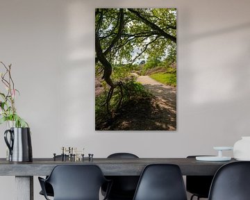 Wanderweg durch blühende Heidelandschaft von Peter Bartelings