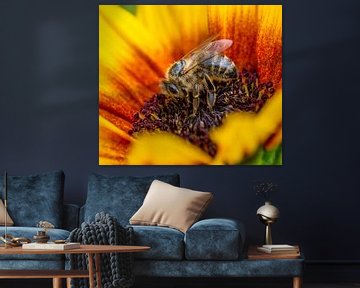 Biene in einer Blüte von ManfredFotos