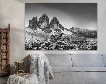 Vue estivale des Trois Cimets dans les Dolomites en noir et blanc sur Manfred Voss, Schwarz-weiss Fotografie