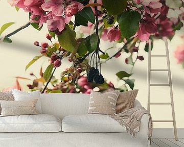 Hanging blossom of hawthorn by tim eshuis