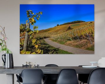 Vineyards in Baden near Varnholt by resuimages