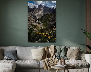 Flowers and peaks in the dolomites