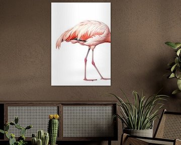 There Goes the Flamingo.... sur Marja van den Hurk