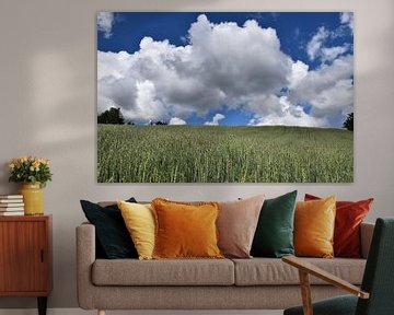 An oat field in summer by Claude Laprise