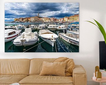 Rovinj panorama by Edwin Boer