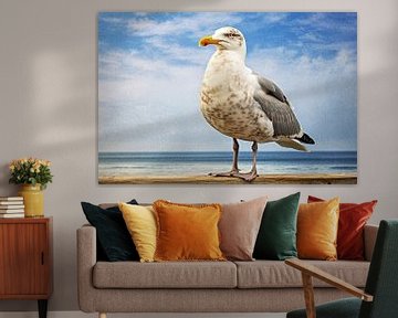 Seagull by Wonderful Art
