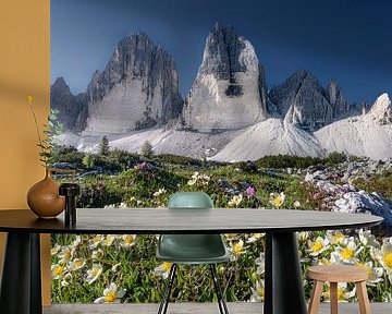 Alpenblumen am Fusse der drei Zinnen in den Dolomiten von Voss Fine Art Fotografie
