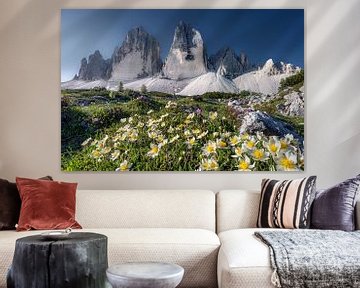 Fleurs alpines au pied des Trois Cimets dans les Dolomites sur Voss Fine Art Fotografie