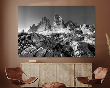 Les Trois Cimets dans les Dolomites par une claire journée d'été en noir et blanc sur Manfred Voss, Schwarz-weiss Fotografie