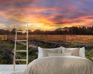 Sunset Grotelsche heathland by Harold van den Hurk