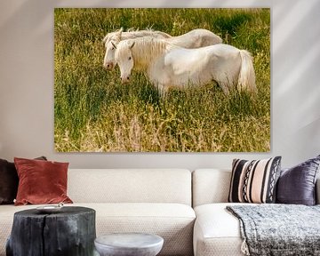 Chevaux de Camargue sur Dieter Walther