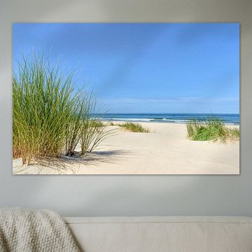 Zomer op het strand van Sjoerd van der Wal Fotografie