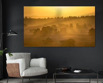 Sunset over a Veluwe landscape by Friso Schinkel