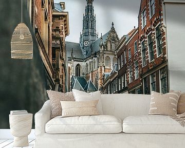 Schöne Straße in Haarlem
