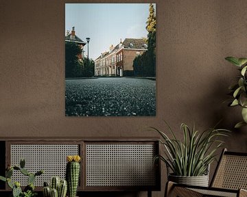 Schöne Straße in Haarlem von Sebastiaan van 't Hoog