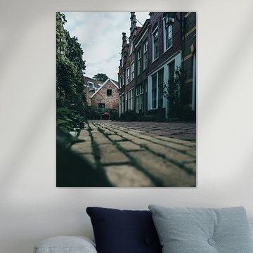 Prachtige straat in Haarlem