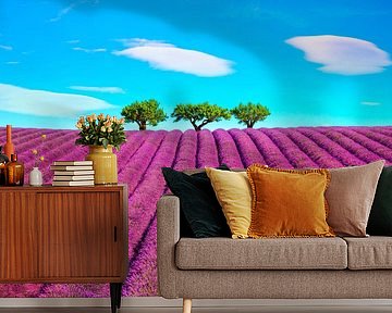 Lavendel und drei Bäume. Provence, Frankreich von Stefano Orazzini