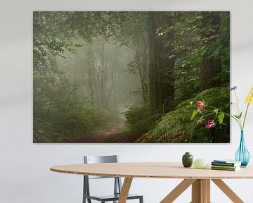 Forest path in the mist by René Jonkhout