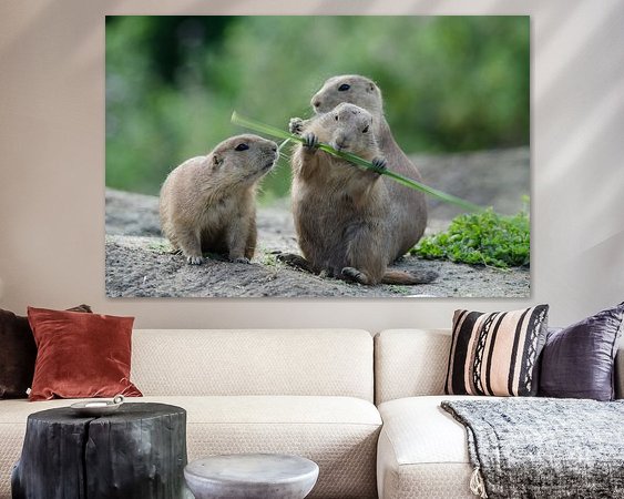 Voorbeeld van het werk in een kamer
