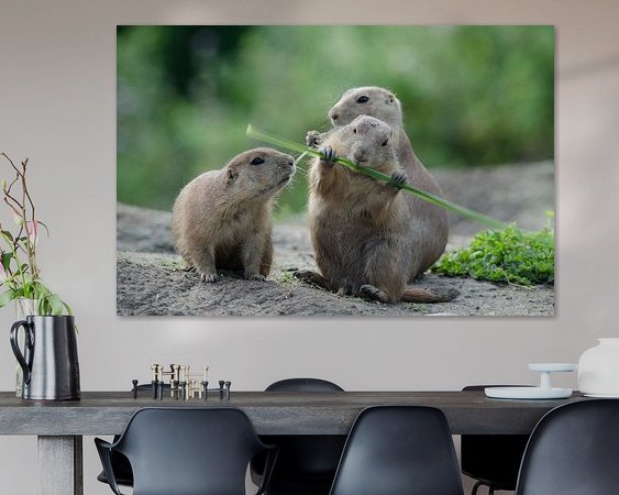 Voorbeeld van het werk in een kamer
