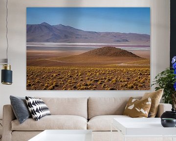 Hoogvlaktes van de Andes